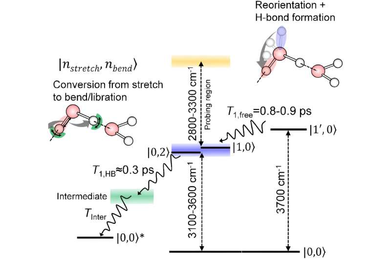 The spectroscopic technique that separates water molecules lying on the surface reveals how they relax after being excited